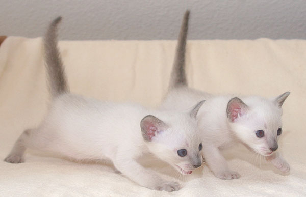 Photo: Carolin Skirl