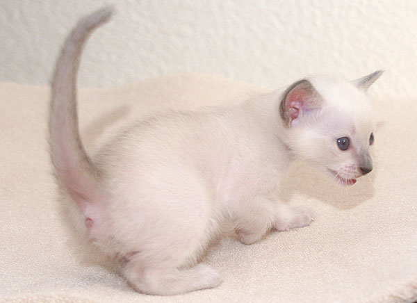 Photo: Carolin Skirl