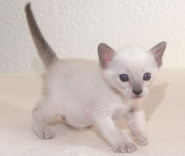 Photo: Carolin Skirl