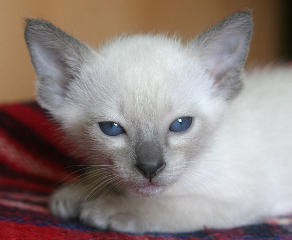 Photo: Carolin Skirl