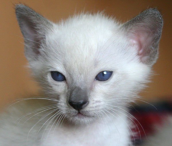 Photo: Carolin Skirl