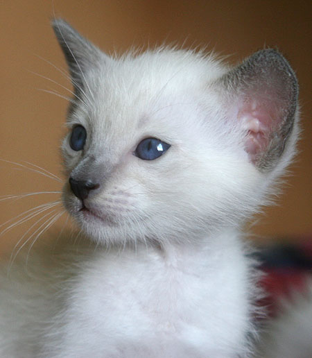 Photo: Carolin Skirl