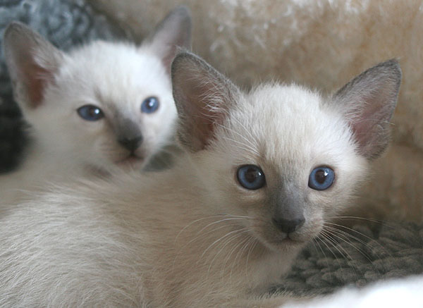 Photo: Carolin Skirl