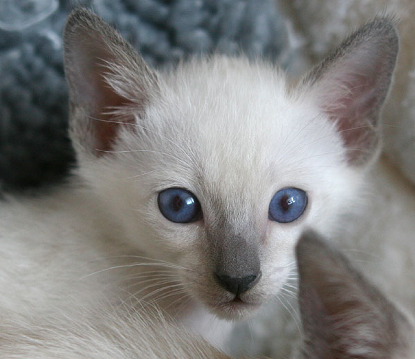 Photo: Carolin Skirl