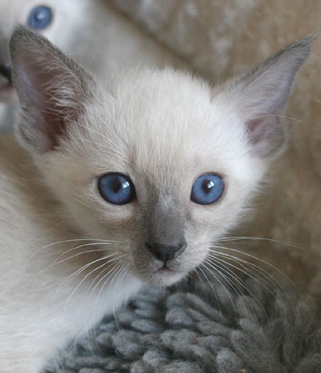 Photo: Carolin Skirl