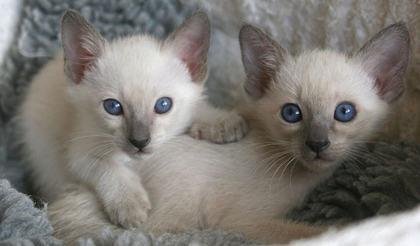 Photo: Carolin Skirl