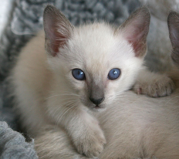 Photo: Carolin Skirl