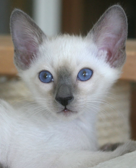 Photo: Carolin Skirl