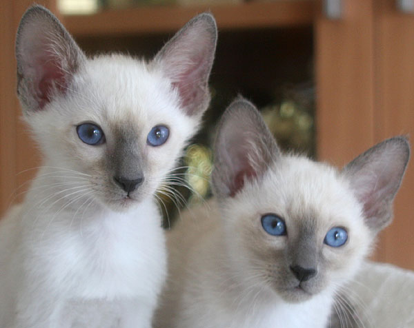 Photo: Carolin Skirl