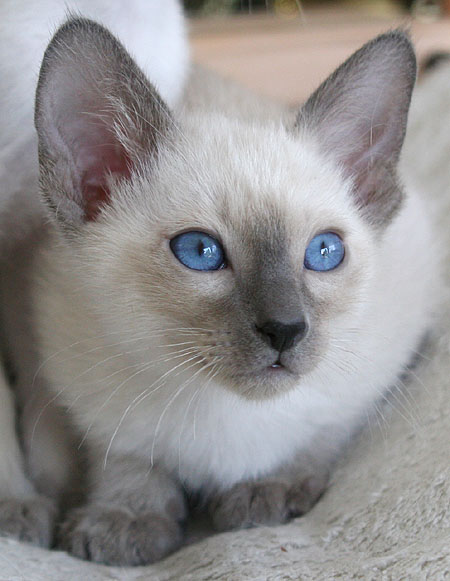 Photo: Carolin Skirl