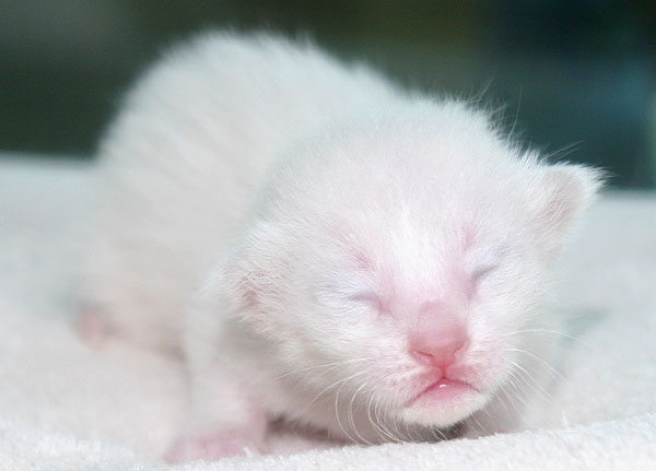 Photo: Carolin Skirl