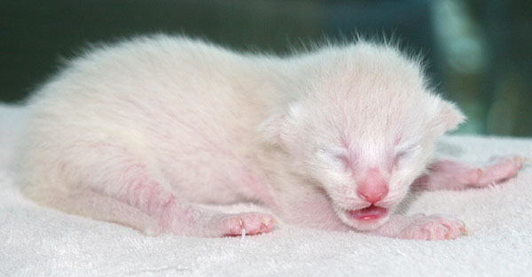 Photo: Carolin Skirl