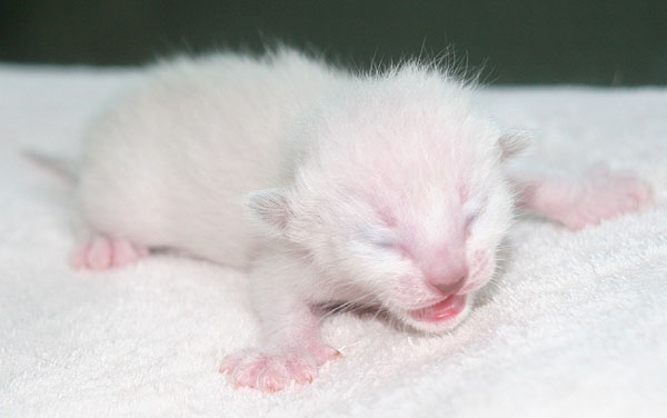 Photo: Carolin Skirl