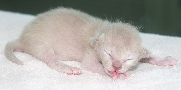 Photo: Carolin Skirl