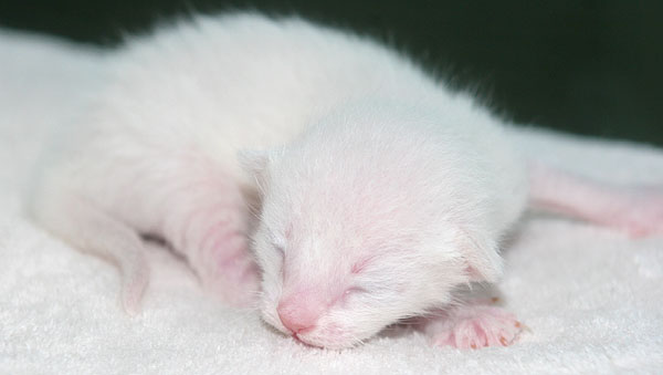 Photo: Carolin Skirl