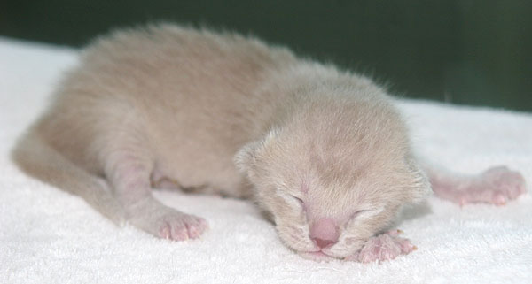 Photo: Carolin Skirl