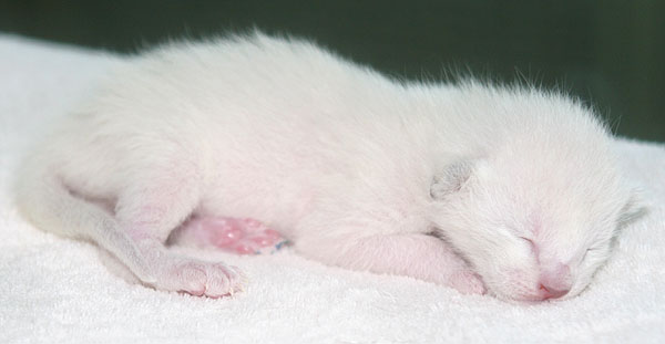 Photo: Carolin Skirl