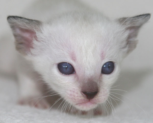 Photo: Carolin Skirl