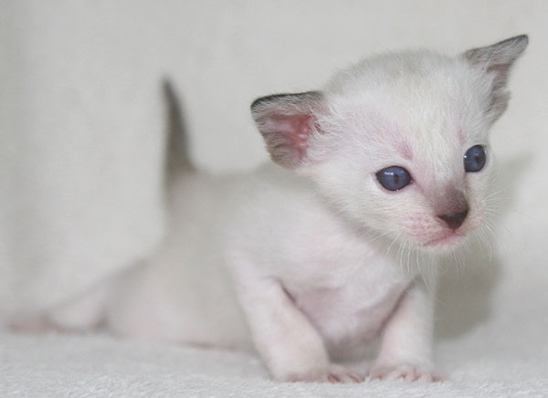 Photo: Carolin Skirl