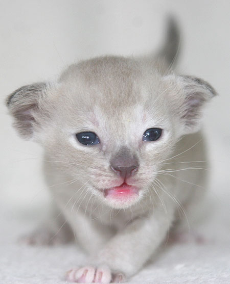 Photo: Carolin Skirl