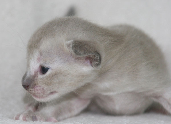 Photo: Carolin Skirl