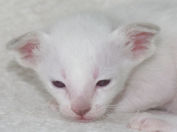 Photo: Carolin Skirl