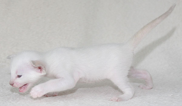 Photo: Carolin Skirl