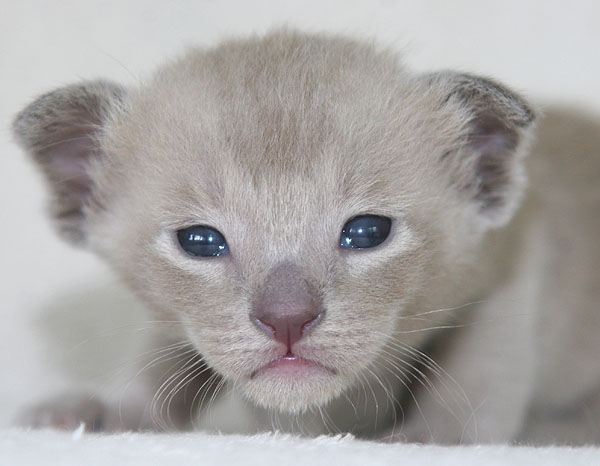 Photo: Carolin Skirl