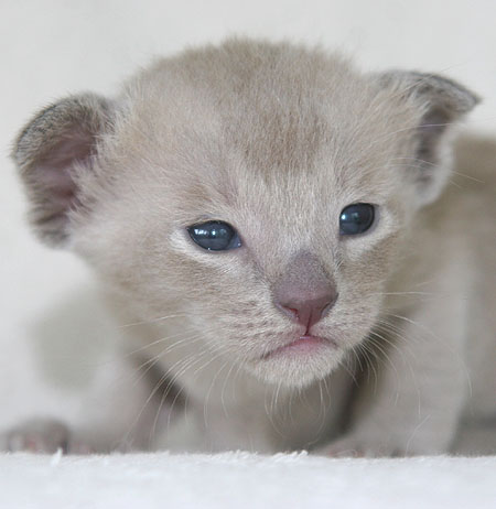 Photo: Carolin Skirl