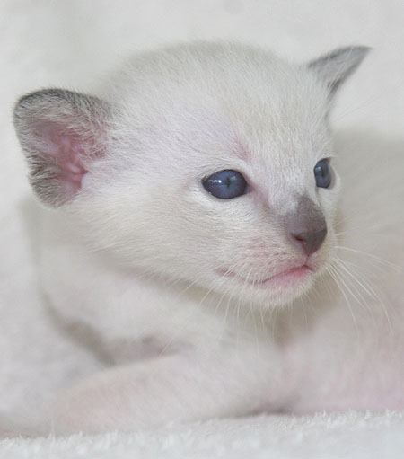 Photo: Carolin Skirl