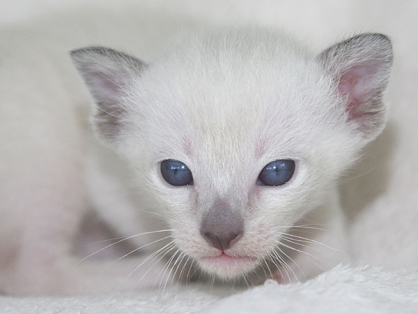 Photo: Carolin Skirl