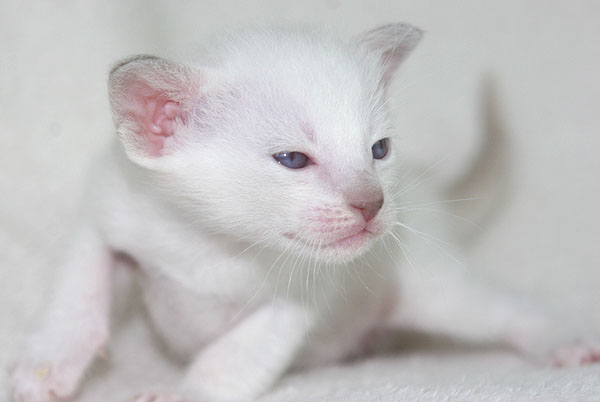 Photo: Carolin Skirl