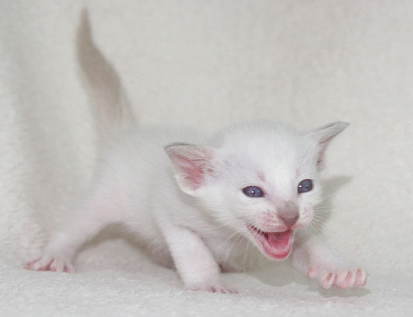 Photo: Carolin Skirl