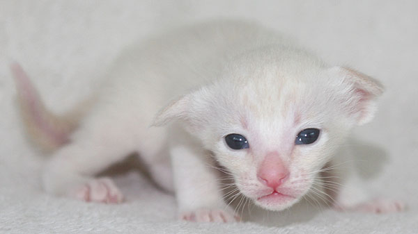 Photo: Carolin Skirl