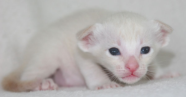 Photo: Carolin Skirl