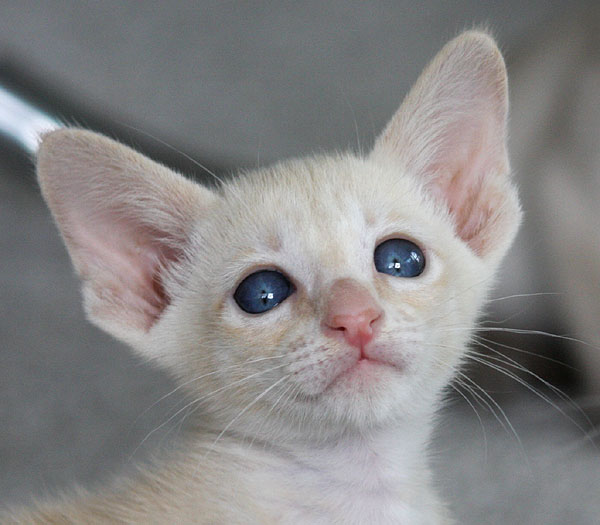 Photo: Carolin Skirl