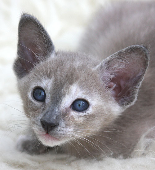 Photo: Carolin Skirl