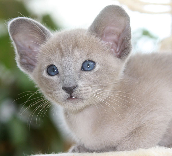 Photo: Carolin Skirl