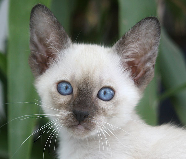 Photo: Carolin Skirl