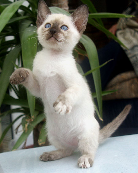 Photo: Carolin Skirl