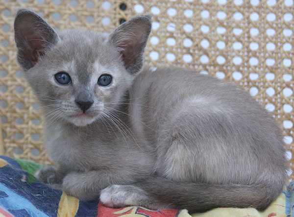 Photo: Carolin Skirl