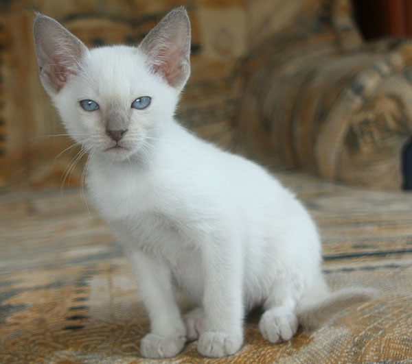 Photo: Carolin Skirl