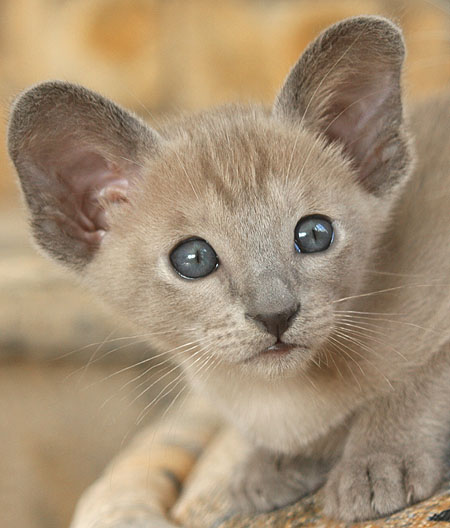 Photo: Carolin Skirl