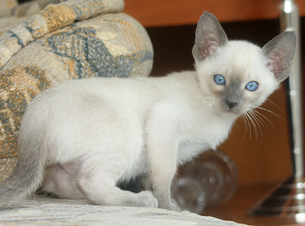 Photo: Carolin Skirl