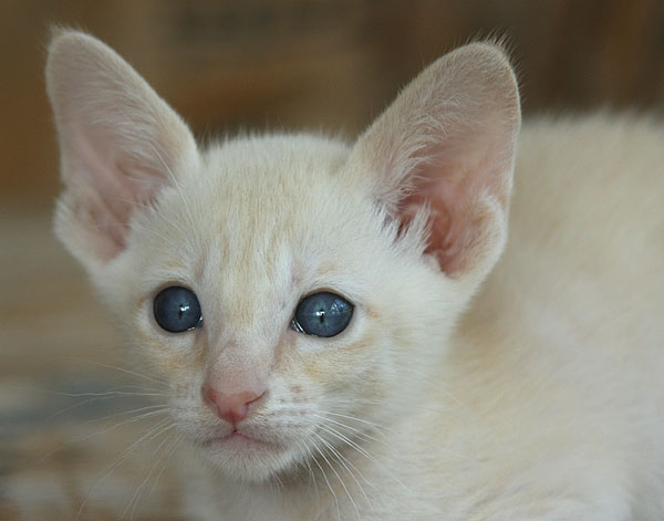 Photo: Carolin Skirl