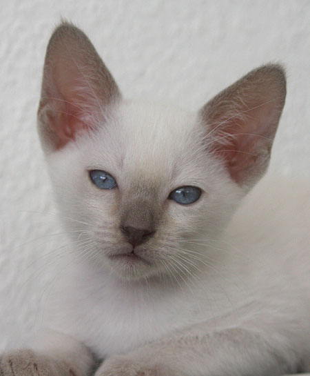 Photo: Carolin Skirl