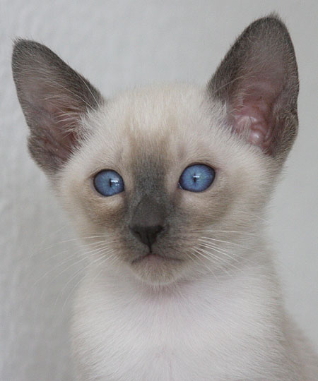 Photo: Carolin Skirl