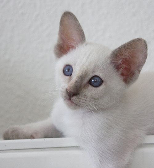 Photo: Carolin Skirl