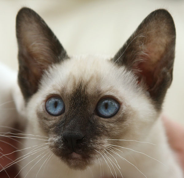 Photo: Carolin Skirl