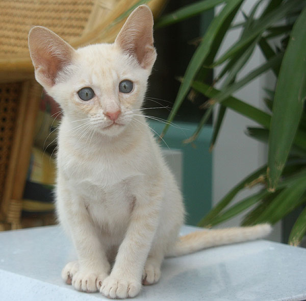 Photo: Carolin Skirl